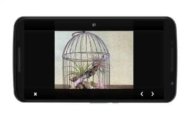 Play Design ideas Birdcage