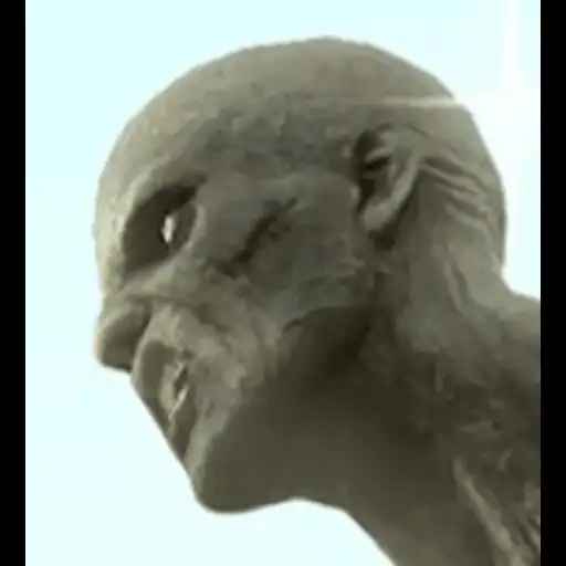 Play Desolate Era: Undead Slayer APK