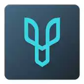 Free play online Desygner APK Free play online Desygner APK