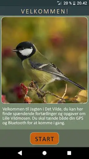 Play Det Vilde and enjoy Det Vilde with UptoPlay Play Det Vilde and enjoy Det Vilde with UptoPlay