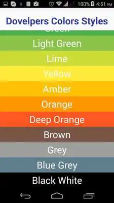 Play Developers Colors Styles