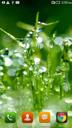 Play Dew Drop Live Wallpaper  and enjoy Dew Drop Live Wallpaper with UptoPlay