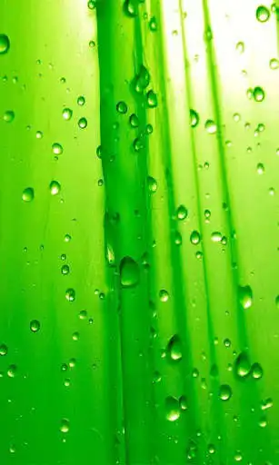 Play Dew Live Wallpapers  and enjoy Dew Live Wallpapers with UptoPlay