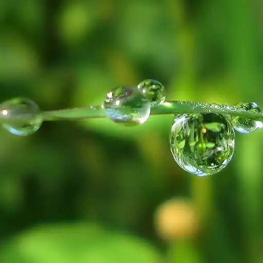 Play Dew Point Humidity Calculator APK