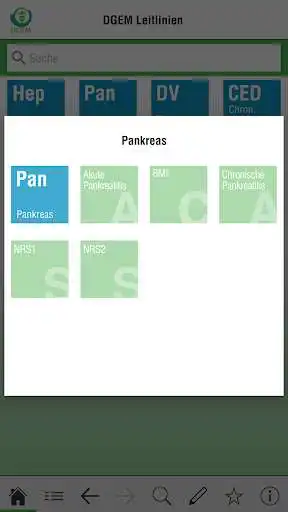 Play DGEM Leitlinien as an online game DGEM Leitlinien with UptoPlay