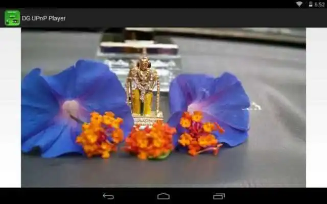 Play DG UPnP Player Free