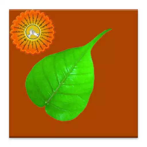 Run free android online Dhamma Quotes APK