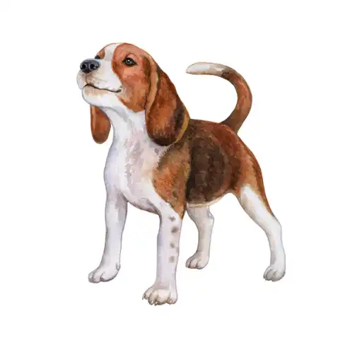 Play DheDog - Stray Dog Reporting APK Play DheDog - Stray Dog Reporting APK
