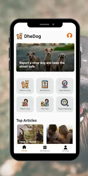 Play DheDog - Stray Dog Reporting  and enjoy DheDog - Stray Dog Reporting with UptoPlay