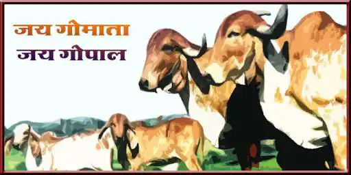 Play Dhenu TV as an online game Dhenu TV with UptoPlay