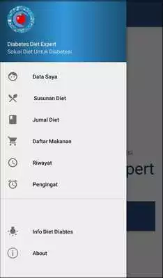 Play Diabetes Diet Expert