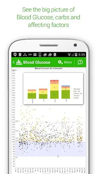 Play Diabetes  Diet Tracker as an online game Diabetes  Diet Tracker with UptoPlay
