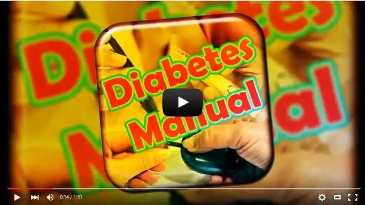 Play Diabetes Manual