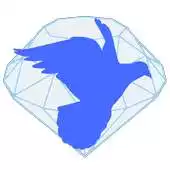 Free play online Diamond Bird VR APK Free play online Diamond Bird VR APK