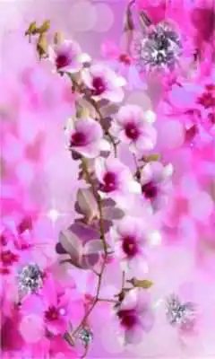 Play Diamonts and Orchids LWP