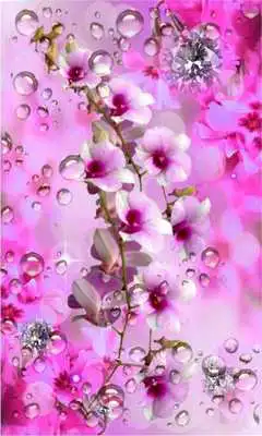 Play Diamonts and Orchids LWP