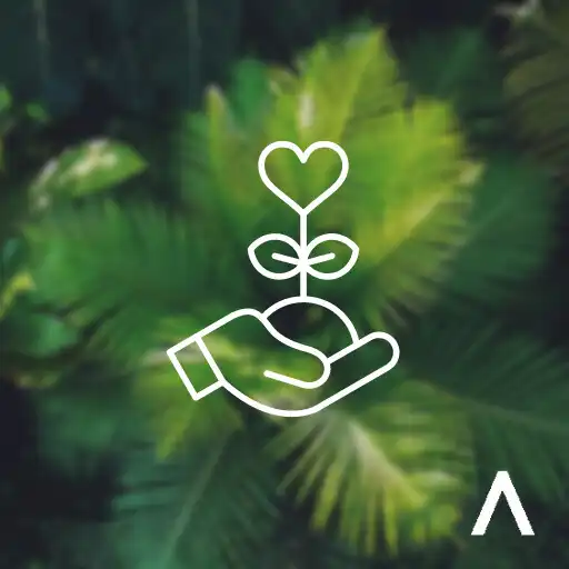 Play Diario de gratitud y bienestar APK