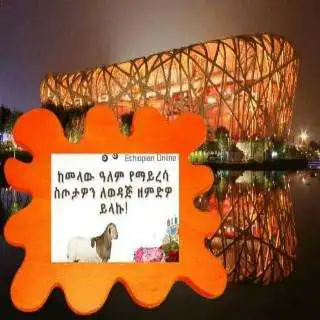 Play Diaspora Gift shop