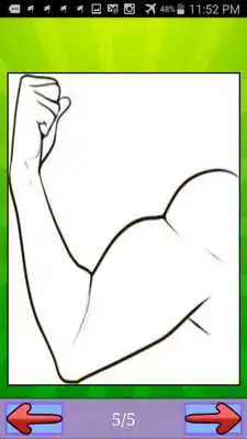 Play Dibujar Cuerpo humano