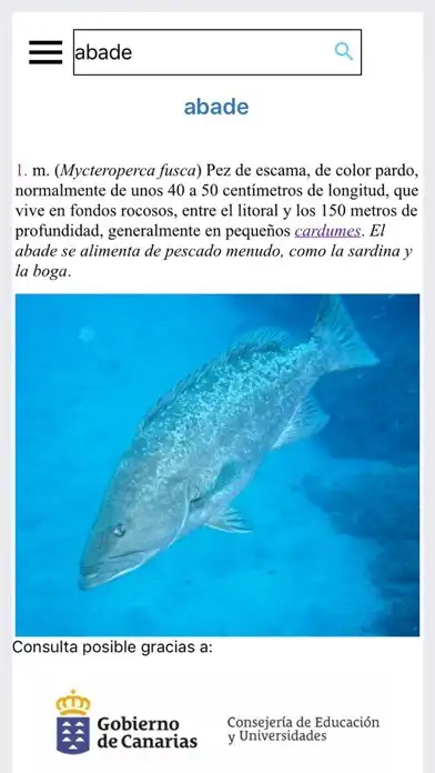 Play Diccionario Básico Canarismos as an online game Diccionario Básico Canarismos with UptoPlay