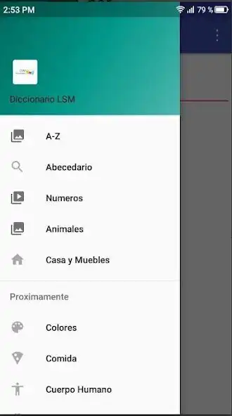 Play Diccionario LSM as an online game Diccionario LSM with UptoPlay