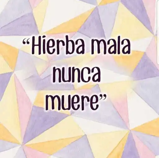 Play Dichos y Refranes