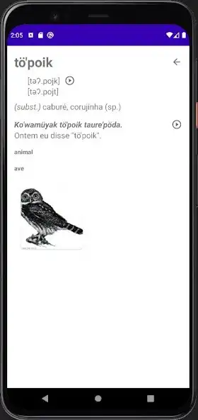 Play Dicionário Taurepang  and enjoy Dicionário Taurepang with UptoPlay