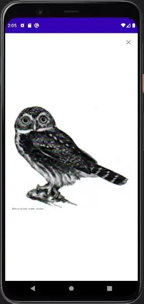 Play Dicionário Taurepang as an online game Dicionário Taurepang with UptoPlay