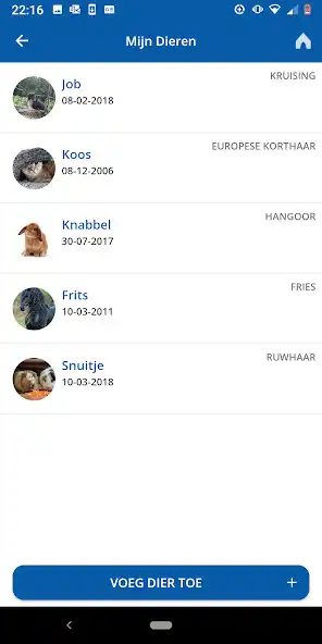 Play Dierenkliniek Vechtdal App as an online game Dierenkliniek Vechtdal App with UptoPlay