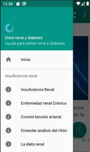 Play Dieta renal y diabetes as an online game Dieta renal y diabetes with UptoPlay
