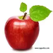 Free play online Diet Calculators Tips APK Free play online Diet Calculators Tips APK