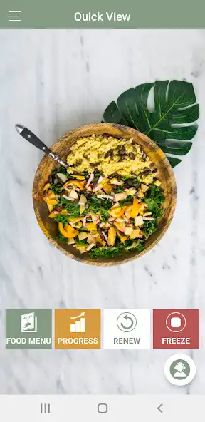 Play Dietfix as an online game Dietfix with UptoPlay