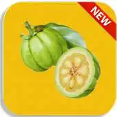 Free play online Diet For Life 2015 APK