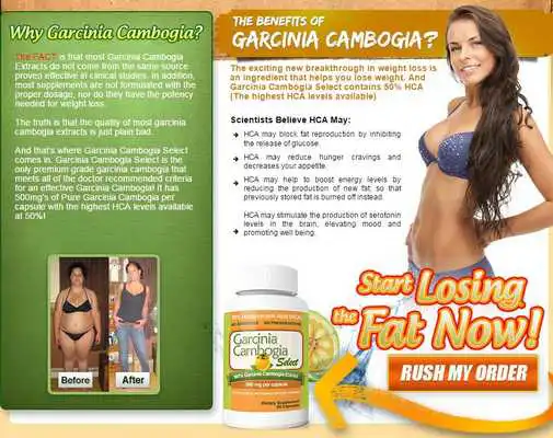 Play Diet For Life 2015