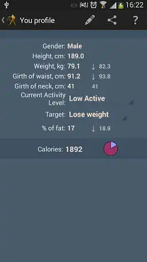 Play Diet Master