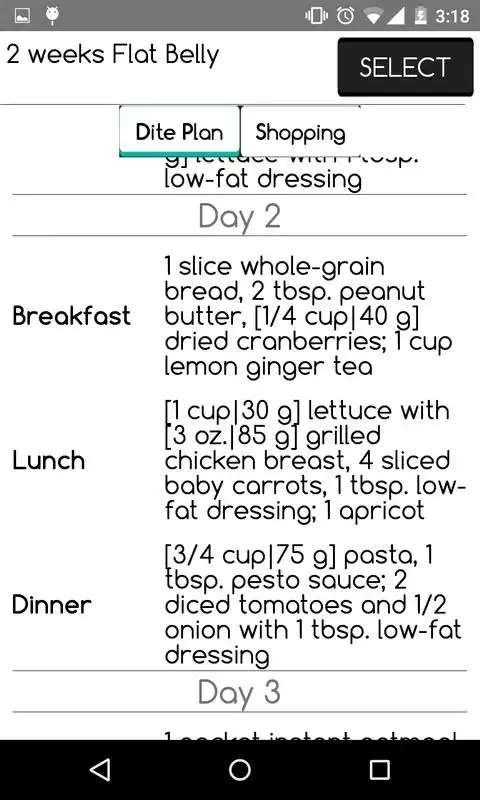 Play Diet Master