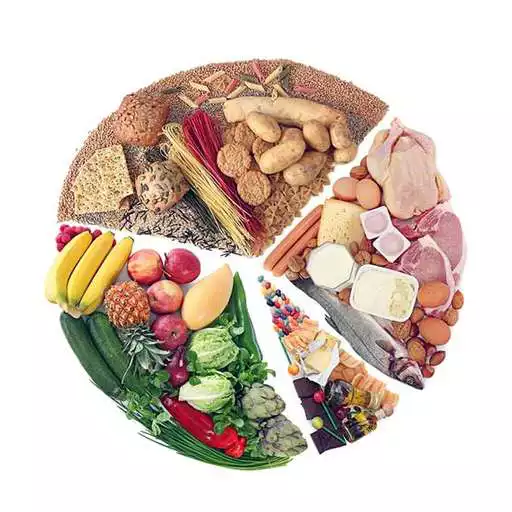 Play Diet Plan To Lose Weight APK Play Diet Plan To Lose Weight APK