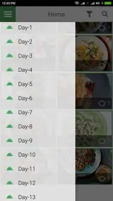 Play Diet Recipes to Lose Weight in 31 Days