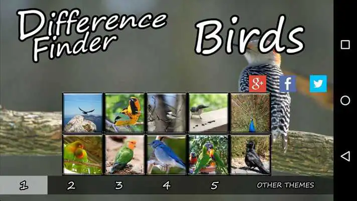 Play Difference Finder Birds