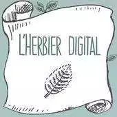 Free play online Digital Herbarium APK Free play online Digital Herbarium APK