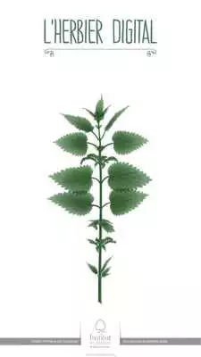 Play Digital Herbarium