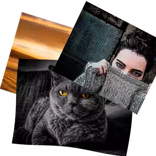 Run free android online Digital Photo Frame for your interior APK