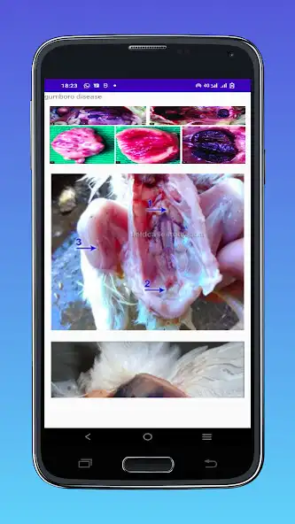 Play Digital Poultry Book as an online game Digital Poultry Book with UptoPlay