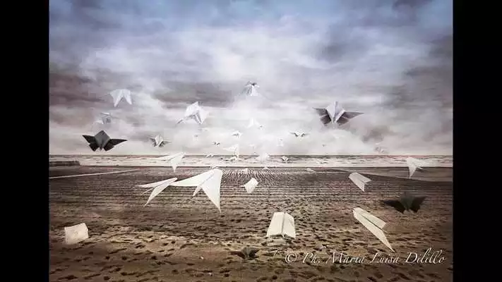 Play Dilillo Maria Luisa