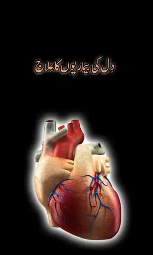 Play Dil Ki Bemarion Ka Ilaj  and enjoy Dil Ki Bemarion Ka Ilaj with UptoPlay