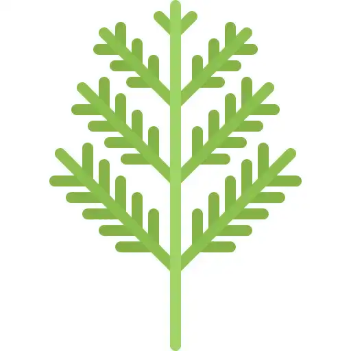 Play Dill - Find Vegan Products APK