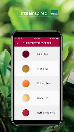 Play Dilmah Tea Inspired as an online game Dilmah Tea Inspired with UptoPlay