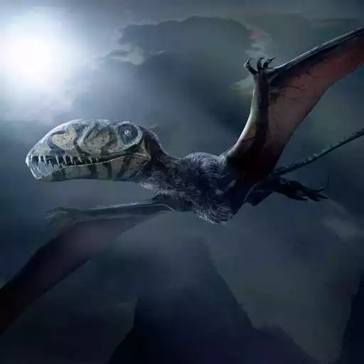 Play Dimorphodon Simulator APK Play Dimorphodon Simulator APK