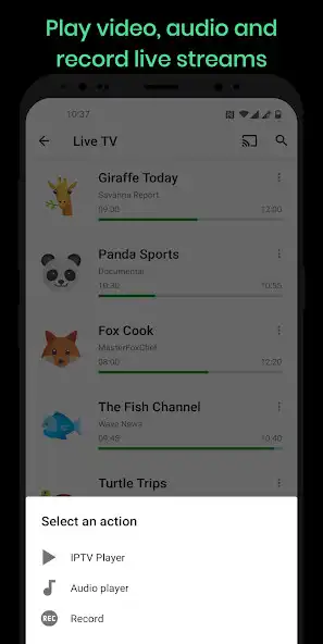 Play Dimplay: Live Player as an online game Dimplay: Live Player with UptoPlay