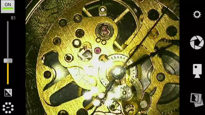 Play DinoDirect Lite